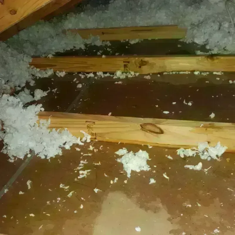 Attic Water Damage in Flemingsburg, KY